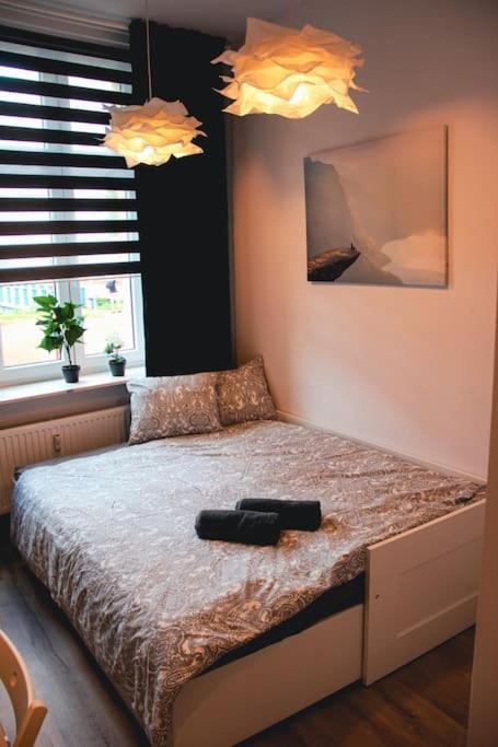 *Apartamenty Kattowitz 12 Ngoại thất bức ảnh